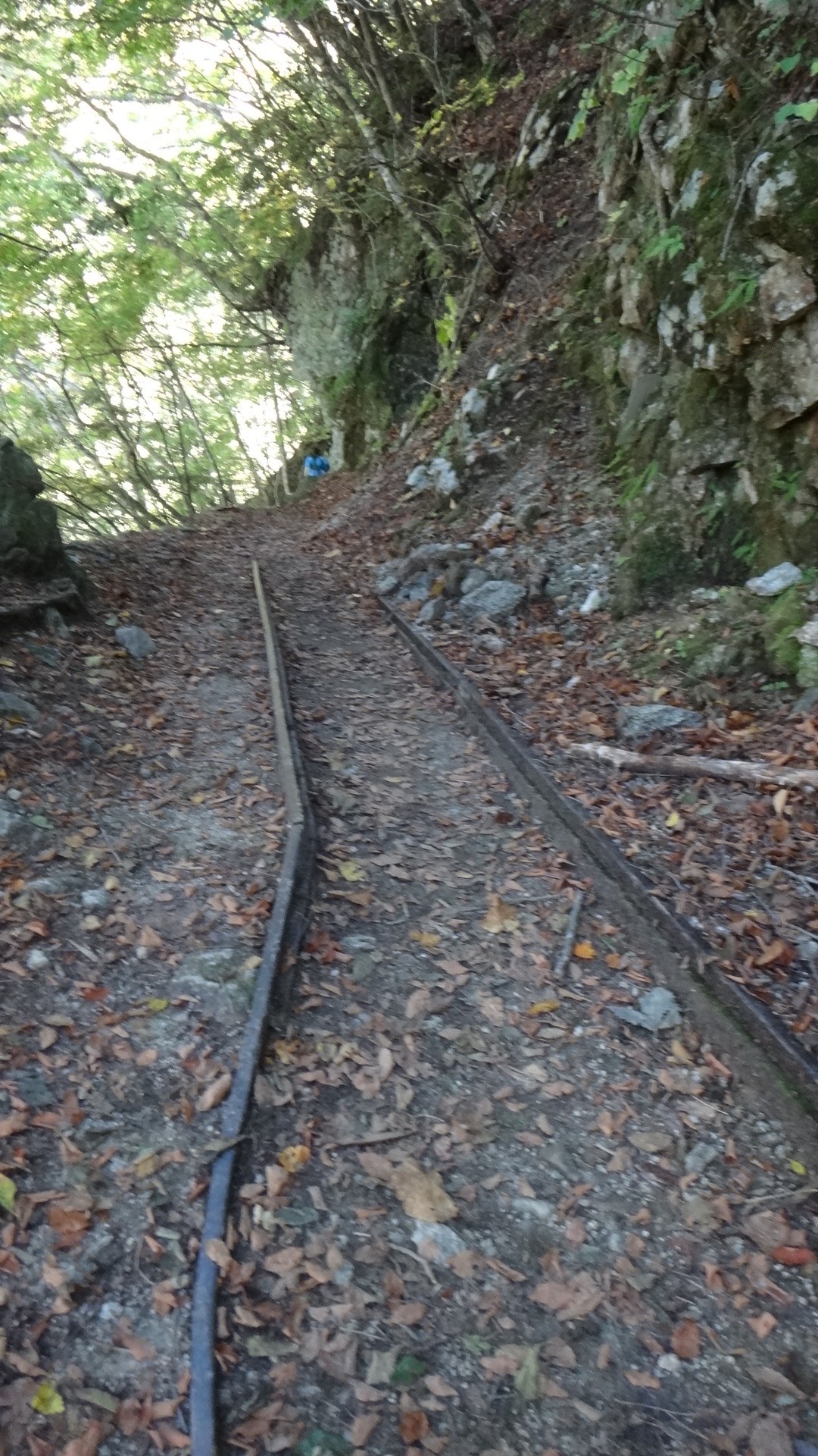 西沢渓谷周遊 キッコロさんの乾徳山 黒金山の活動日記 Yamap ヤマップ