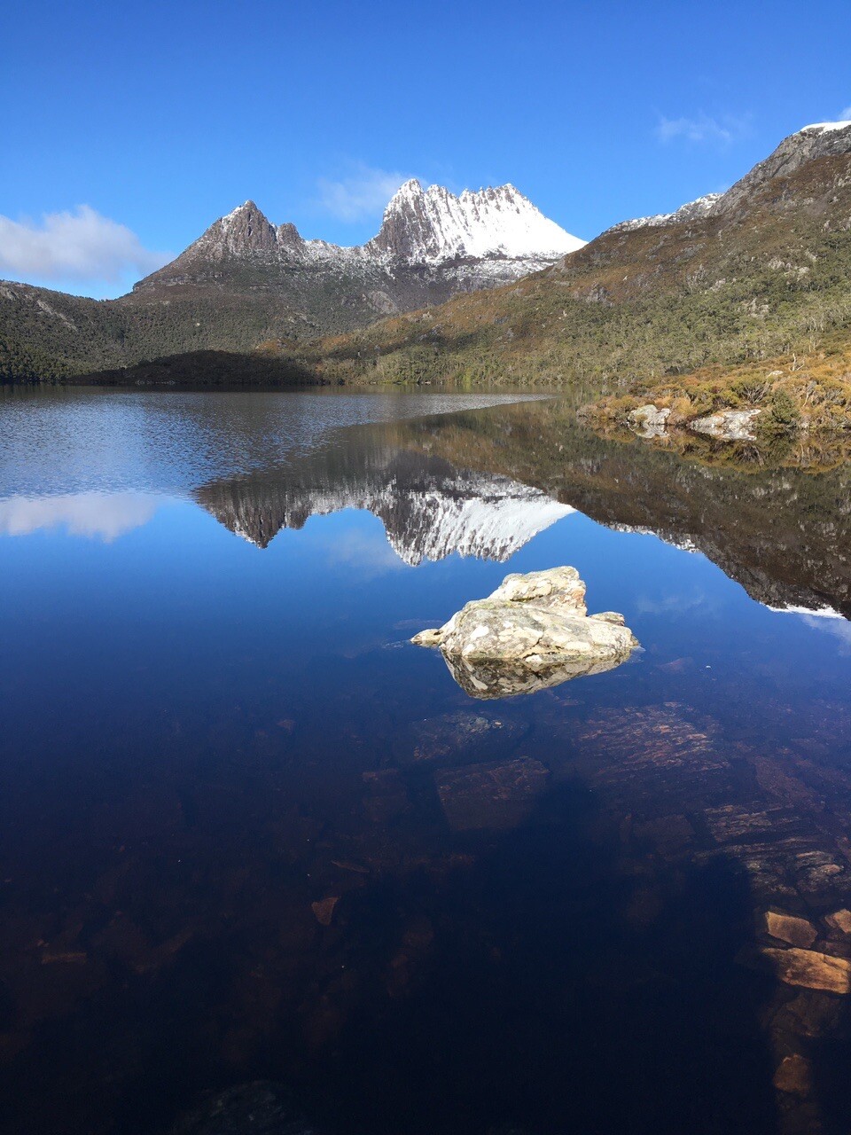 Cradle Mountain in AUS / nasutaさんのハイキングの活動データ YAMAP / ヤマップ
