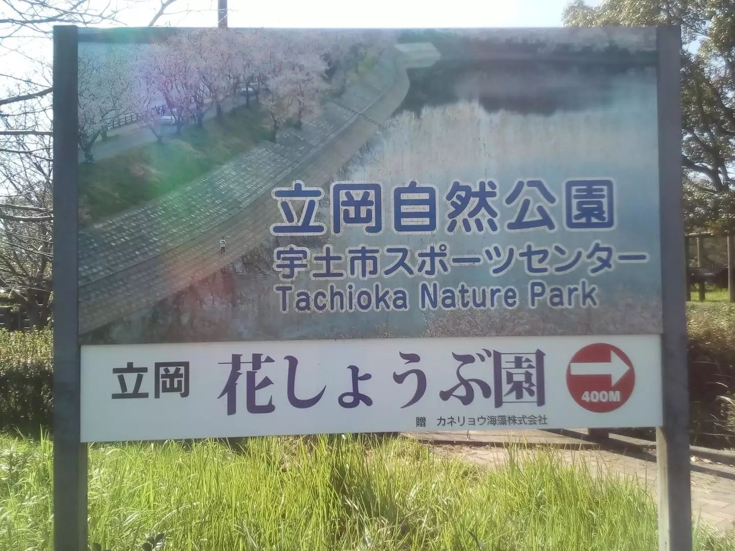 立岡自然公園 とっさんさんの熊本市 南エリア の活動データ Yamap ヤマップ