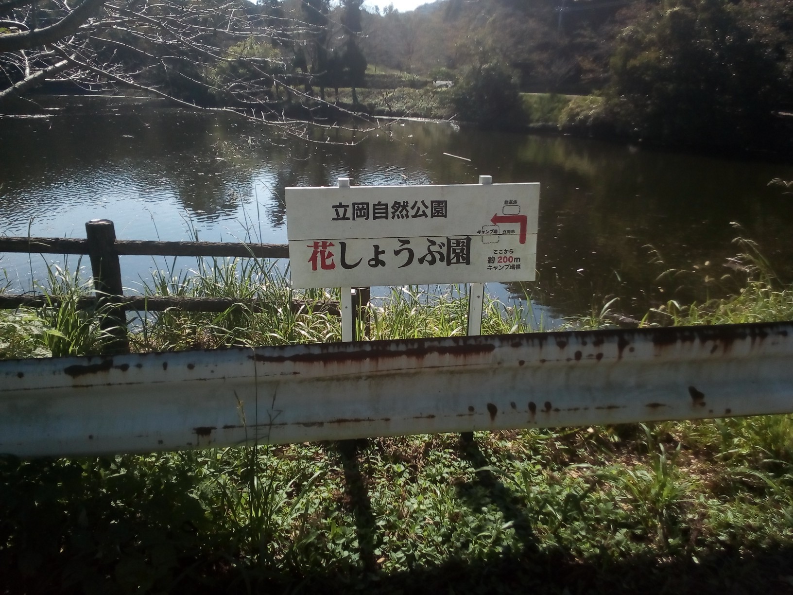 立岡自然公園 とっさんさんの熊本市 南エリアの活動日記 Yamap ヤマップ