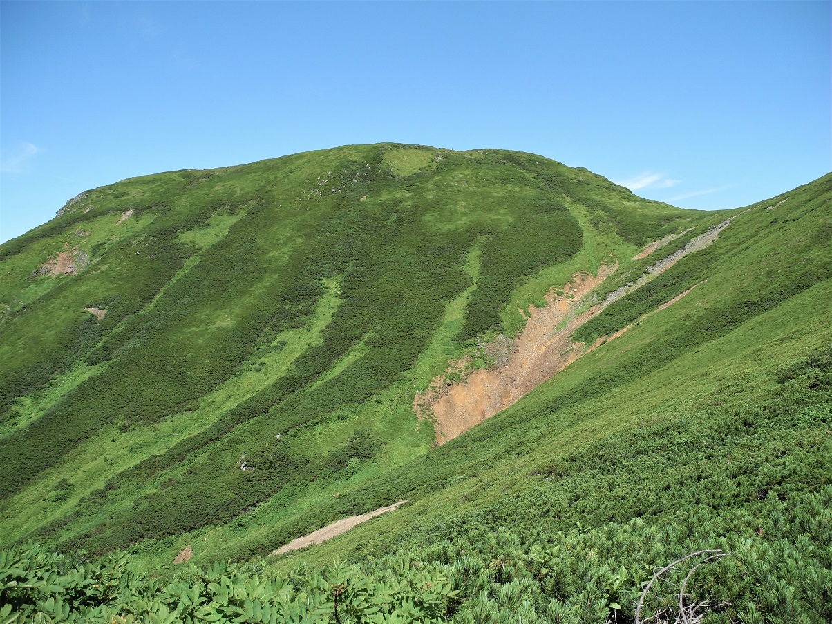 ニセイカウシュッペ山（標高1879m）つり尾根（アンギラス）最高