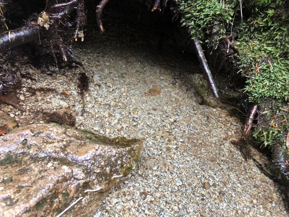 千曲川信濃川の源流を訪ねて 甲武信ヶ岳 ユウさんの甲武信ヶ岳の活動データ Yamap ヤマップ