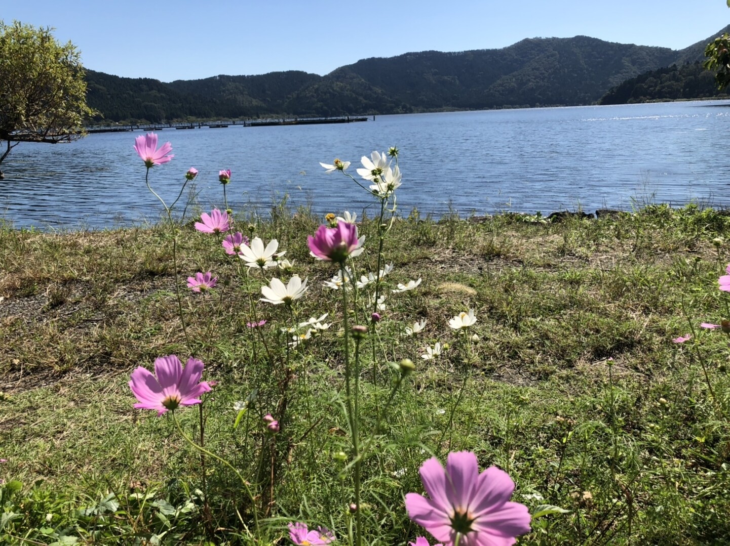 余呉湖一周とキャンプ 5712centuryさんの六甲山 長峰山 摩耶山の活動日記 Yamap ヤマップ
