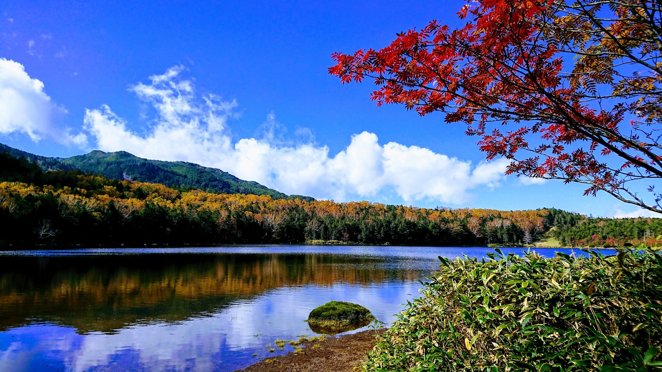 北八ヶ岳ロープウェイから雨池 いしさんの蓼科山 横岳 縞枯山の活動データ Yamap ヤマップ