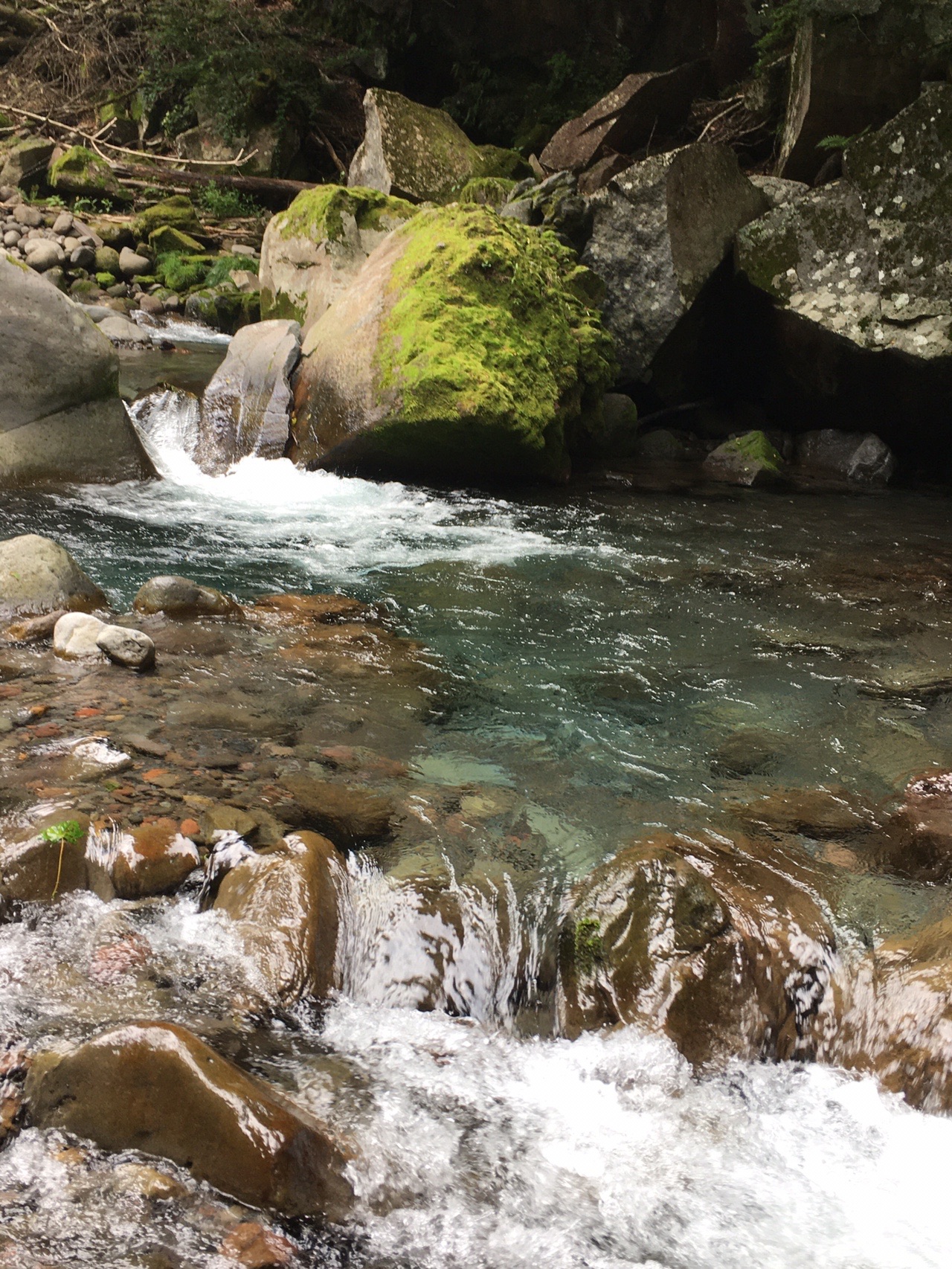 川俣川渓谷から美し森周辺を散策 ひさみんさんの飯盛山 長野県 の活動データ Yamap ヤマップ