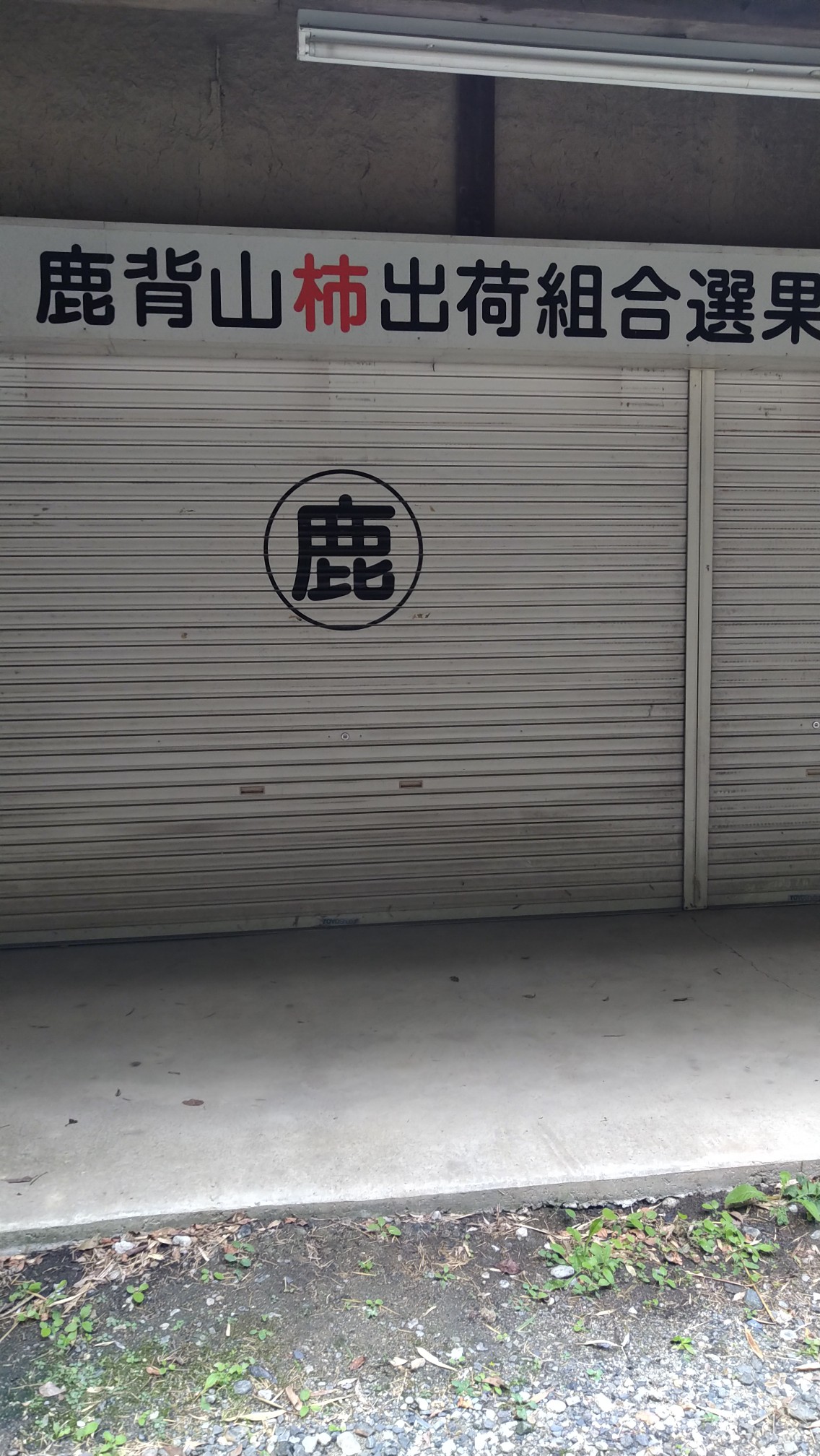 鹿背山城跡 1565年の地探索 奈良市東部 2019 10 15 Ootakahiko さんの奈良市 東エリア の活動日記 Yamap ヤマップ