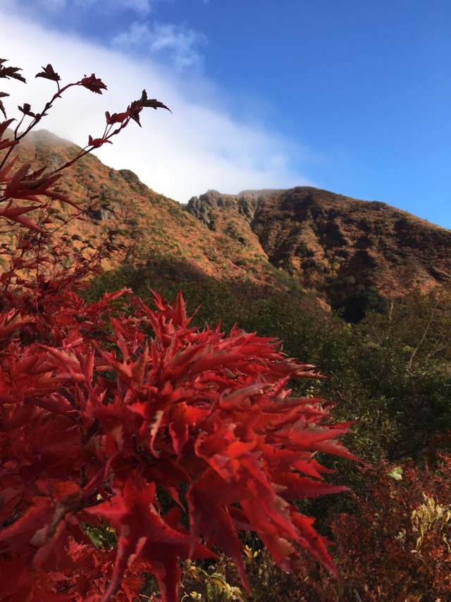紅葉那須岳 車中泊で渋滞地獄回避成功 裕子さんの茶臼岳 那須岳 三本槍岳 赤面山の活動データ Yamap ヤマップ