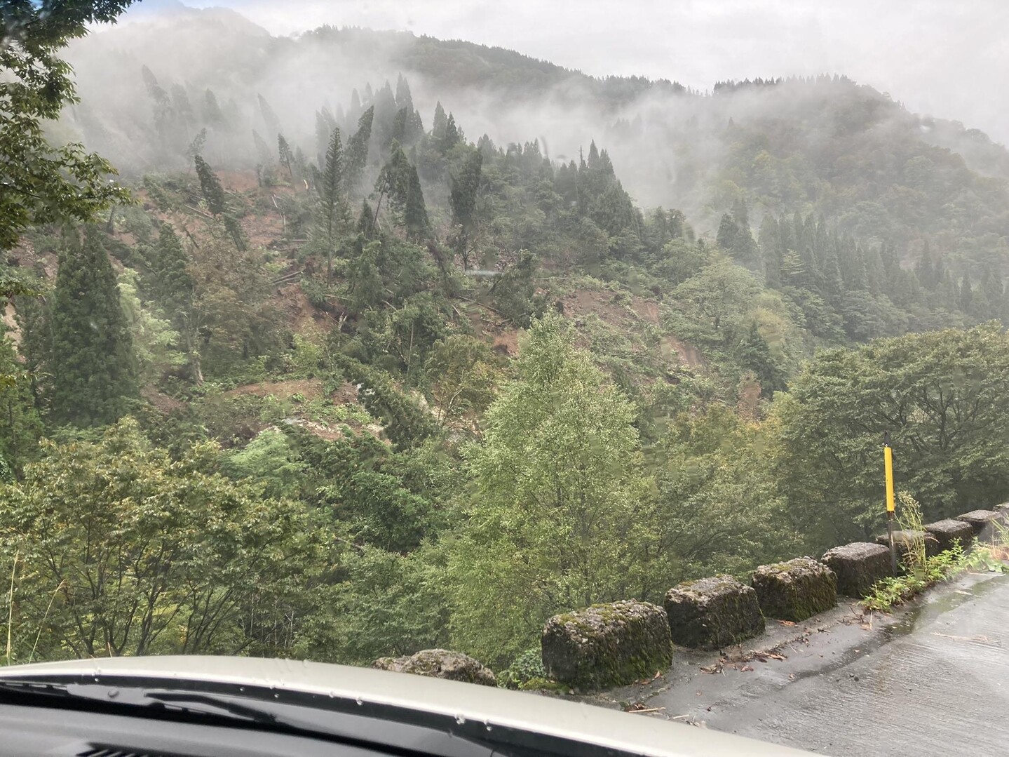 ⚠️土砂崩れ 県道173号線⚠️ はじ... / みどりさんのモーメント YAMAP / ヤマップ
