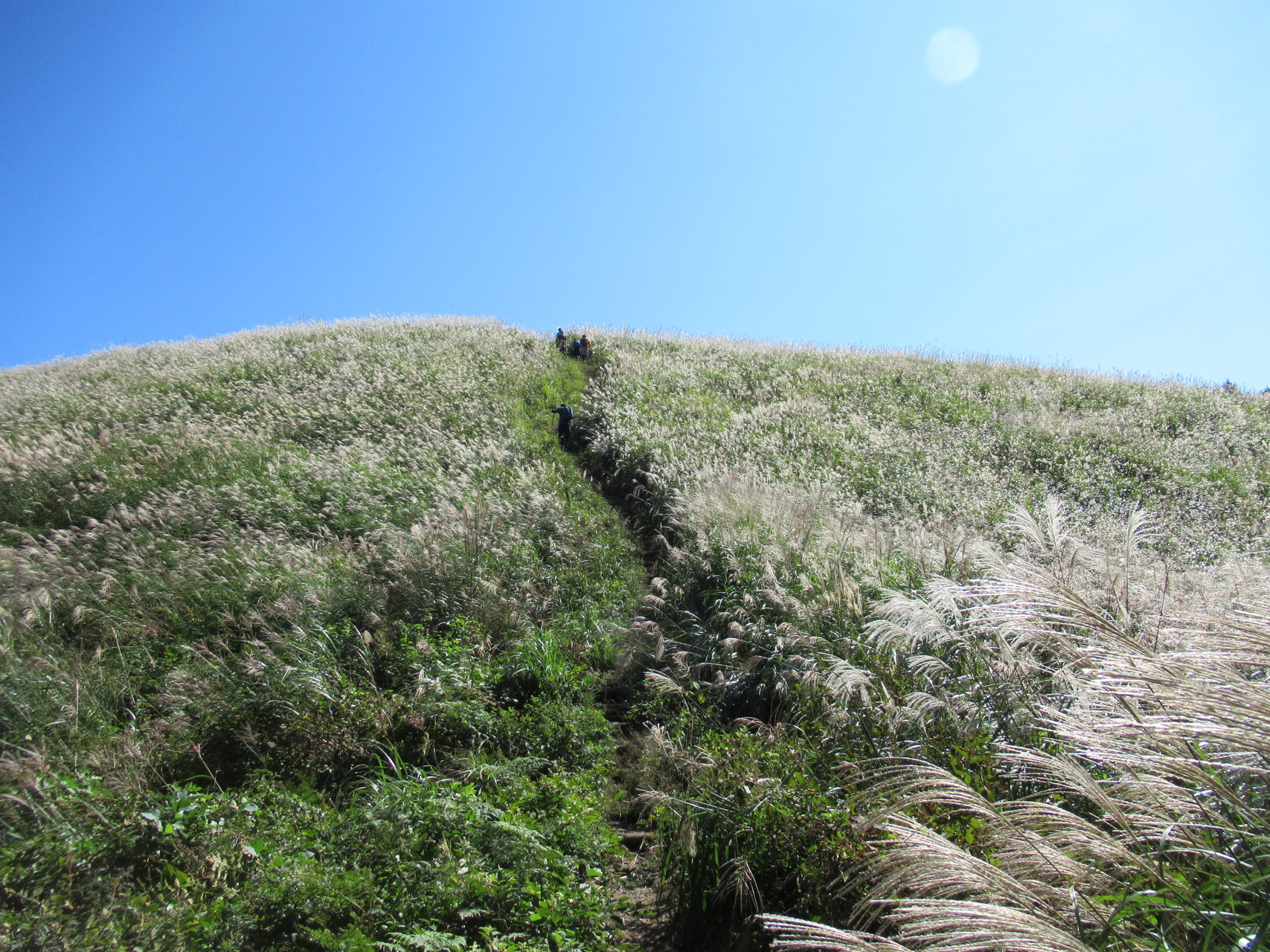 岩湧山 ススキも見頃か ポンぽこさんの岩湧山 一徳防山 三石山の活動データ Yamap ヤマップ