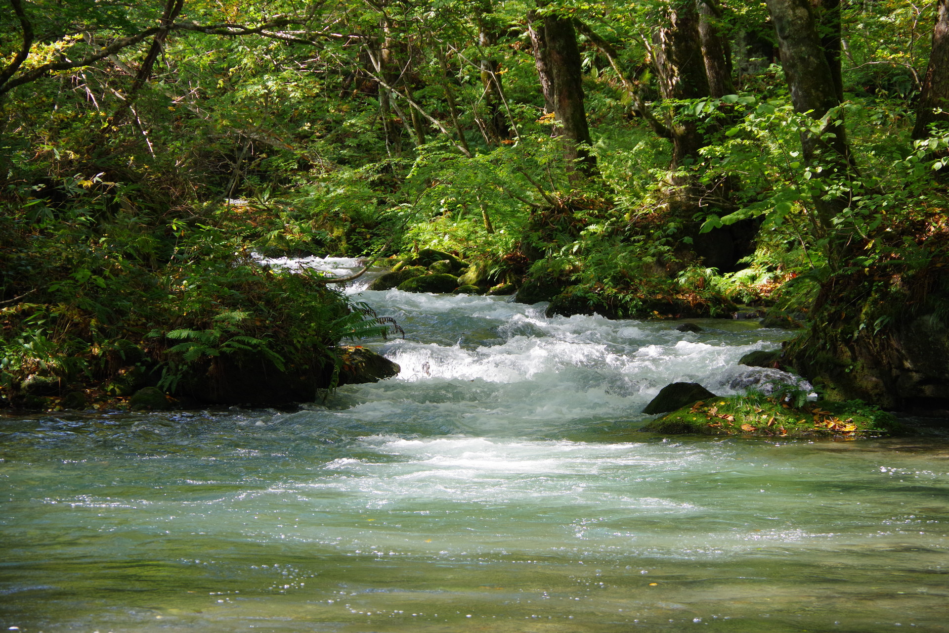 紅葉はこれから 奥入瀬渓流ハイキング 青森県十和田市 ｊｕｎさんの十和田湖の活動日記 Yamap ヤマップ