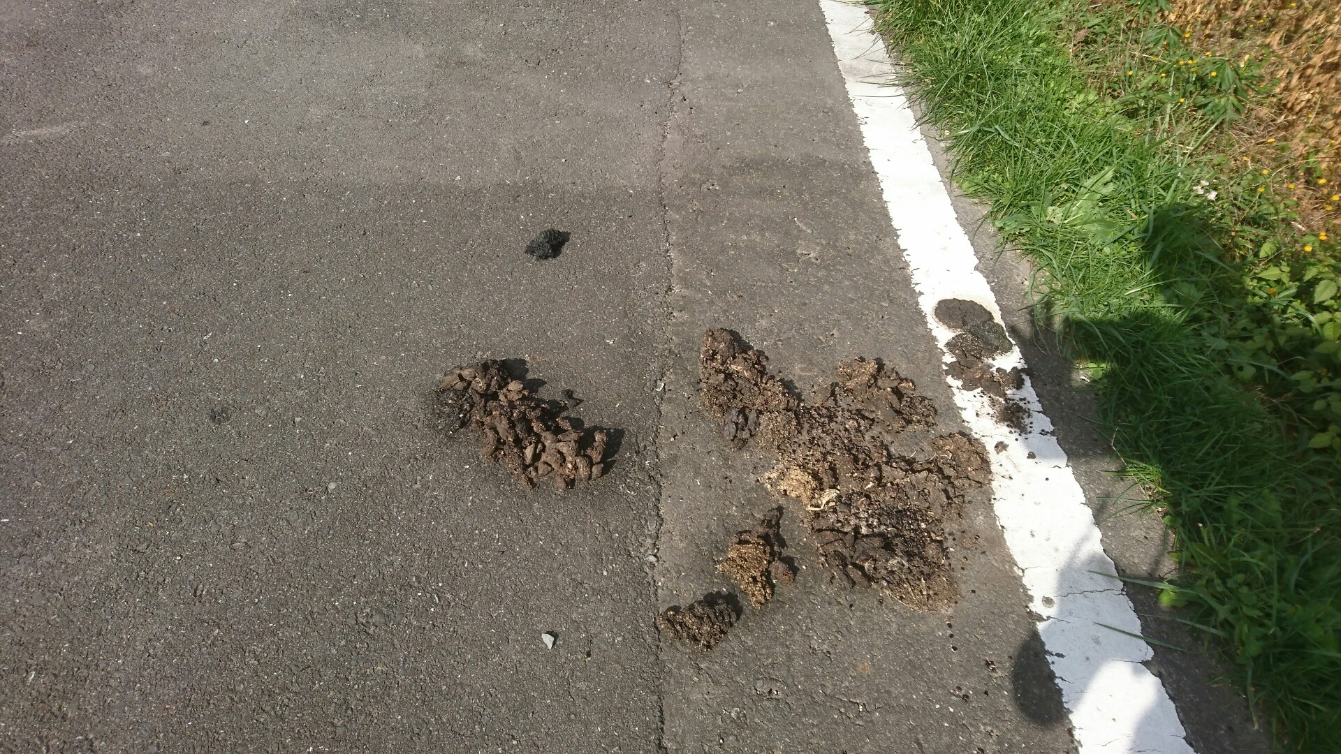 奥松島をオルッてみたの巻 19 11 06 トシーさんの宮城オルレ 奥松島コースの活動日記 Yamap ヤマップ