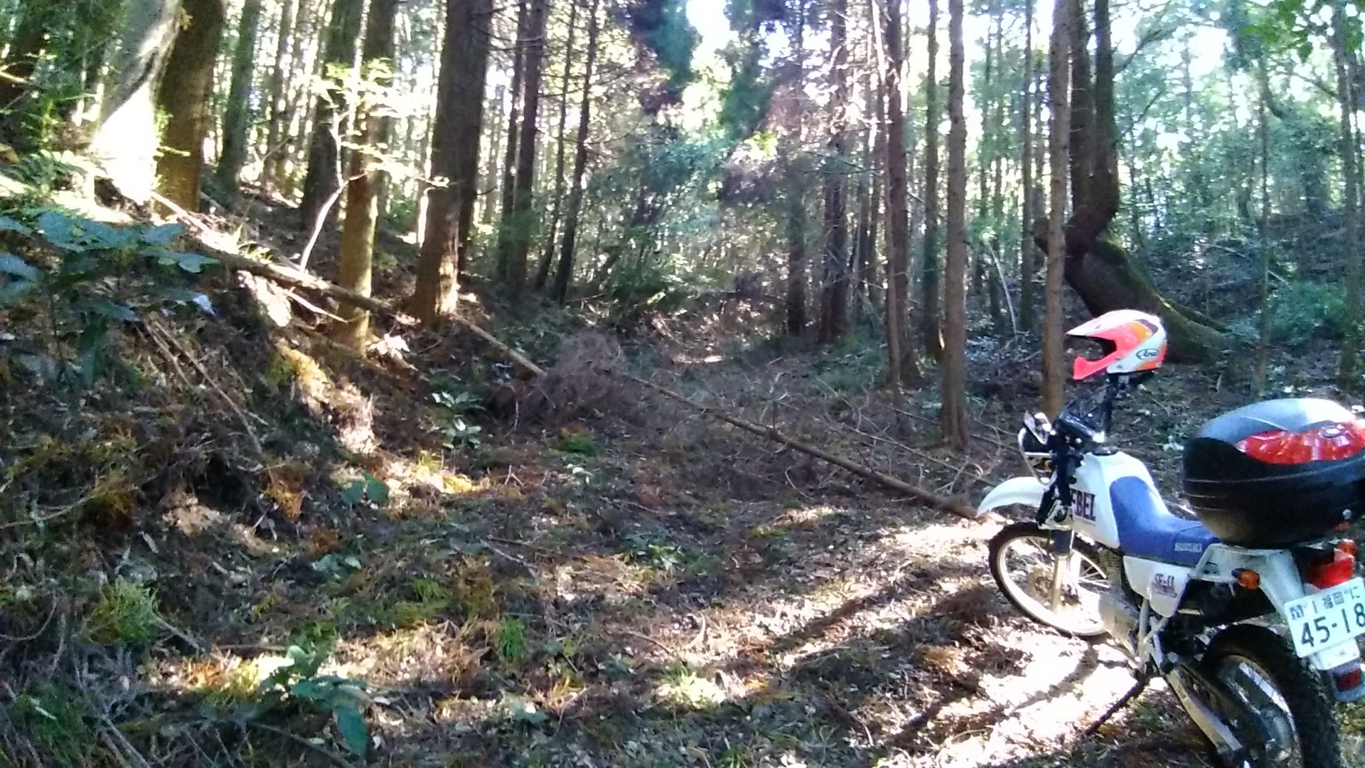 山巡り 徳連岳 ヨッシーさんの八幡岳 眉山 女山の活動データ Yamap ヤマップ