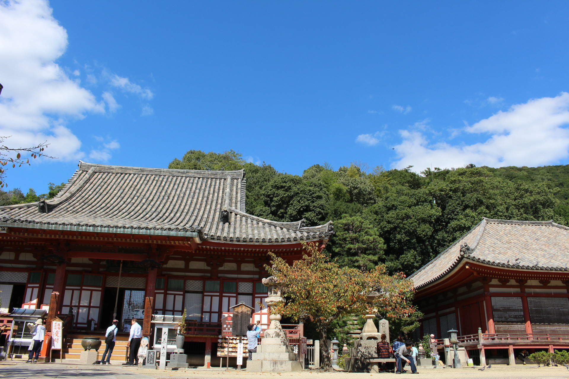 猫 甘味 尾道にて 尾道アニメ三部作聖地巡礼 浄土寺山 西国寺山 千光寺山 るぷるどぅさんの尾道市の活動データ Yamap ヤマップ