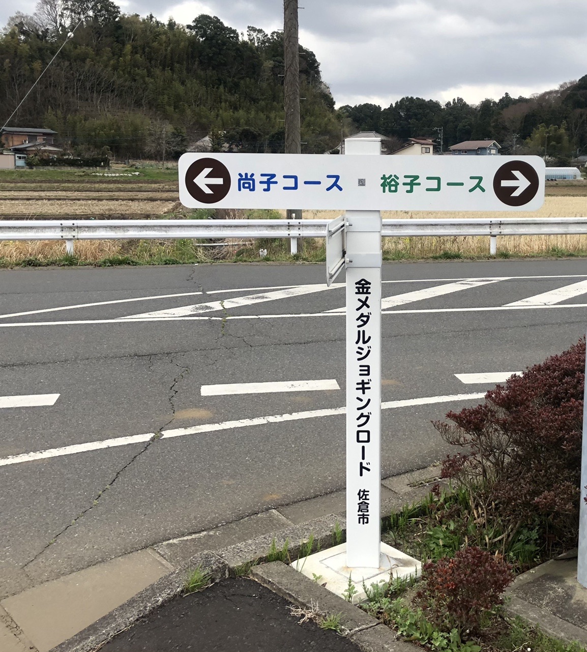 目指せ 金メダルロード ぴよぴよさんの佐倉市の活動日記 Yamap ヤマップ