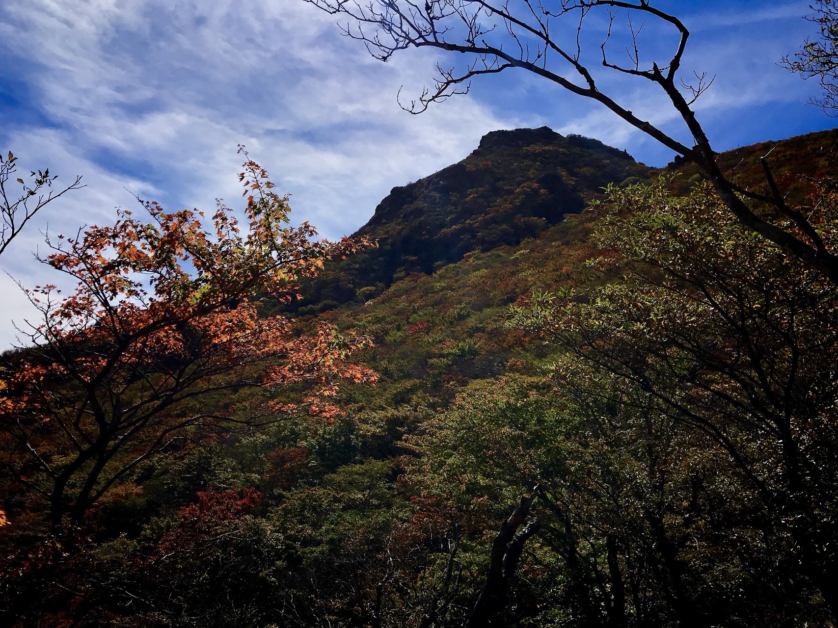 由布岳 紅葉どーよ Coki Aさんの由布岳 鶴見岳の活動データ Yamap ヤマップ