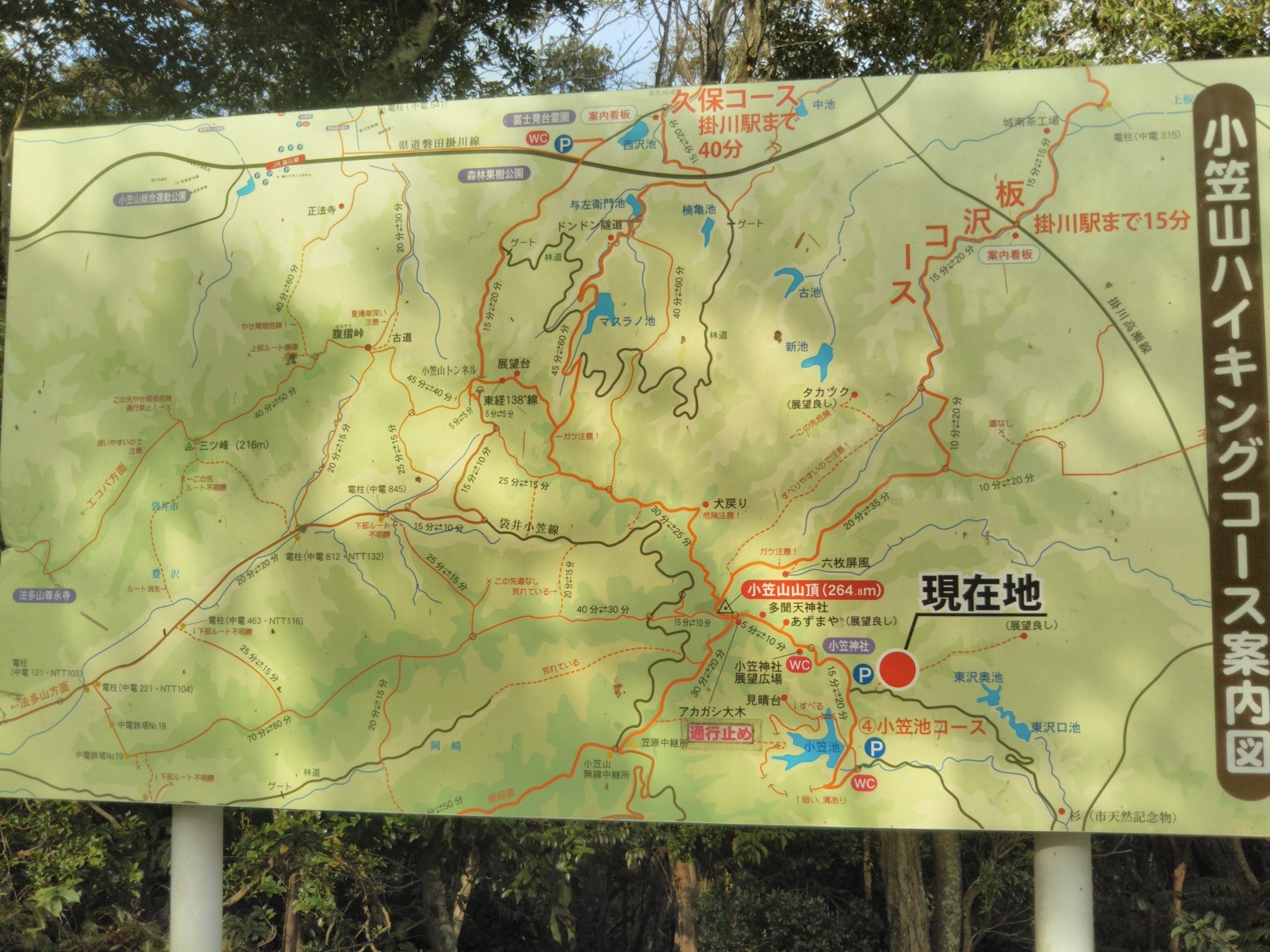 小笠神社 小笠山 鈴木みぃさんの小笠山の活動日記 Yamap ヤマップ