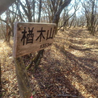 残念なんですよね良い森ではあるけど