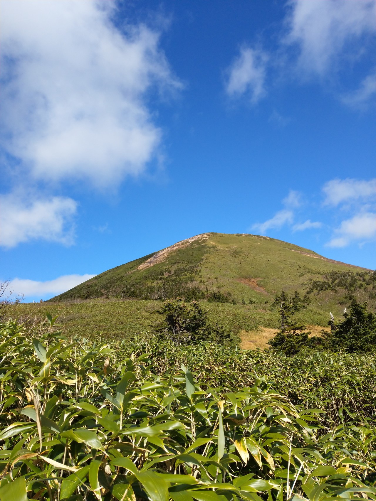 八甲田山 天気は最高 さすらいのダイバーさんの八甲田山 高田大岳 雛岳の活動データ Yamap ヤマップ