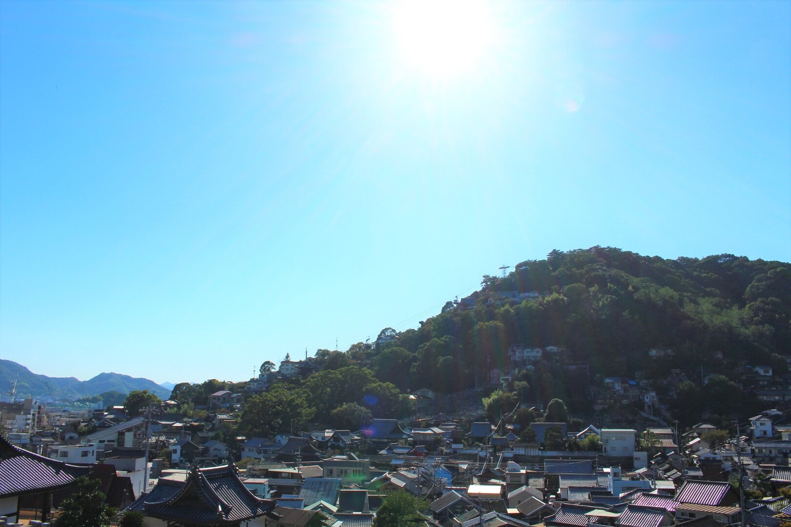 猫 甘味 尾道にて 尾道アニメ三部作聖地巡礼 浄土寺山 西国寺山 千光寺山 尾道市の写真92枚目 最後に向かうは千光寺山 Yamap ヤマップ