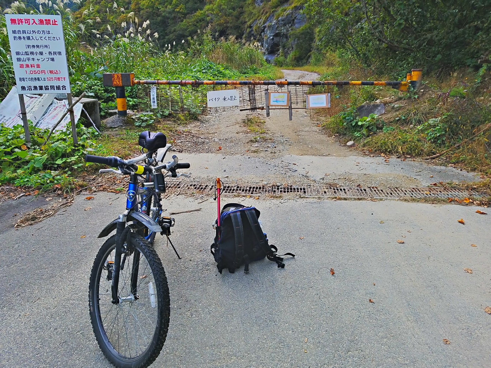 てマメができる 自転車