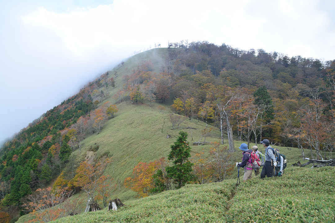 大台ヶ原 巴岳 日出ヶ岳 名古屋岳 三津河落山 大和岳を回る 裏ver Shoさんの大台ヶ原山 日出ヶ岳 大杉谷の活動データ Yamap ヤマップ