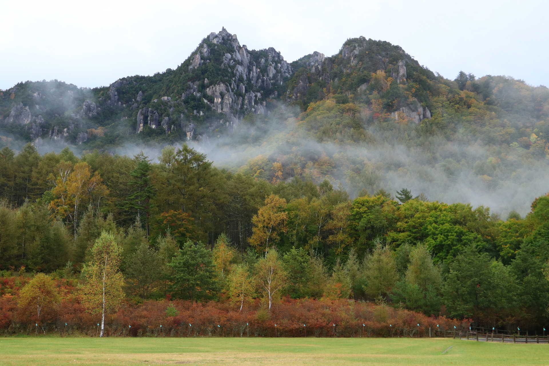 紅葉狩り In 瑞牆山 自然公園から周回コース Samuoさんの瑞牆山 金峰山の活動データ Yamap ヤマップ