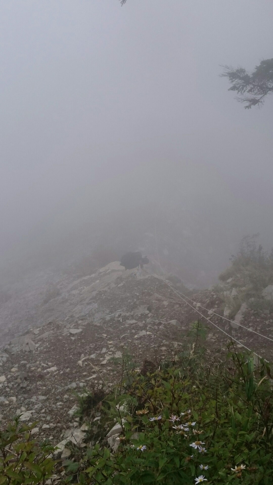 大無間山 pinonさん撮影の、大崩落を下山中のなはなは。
