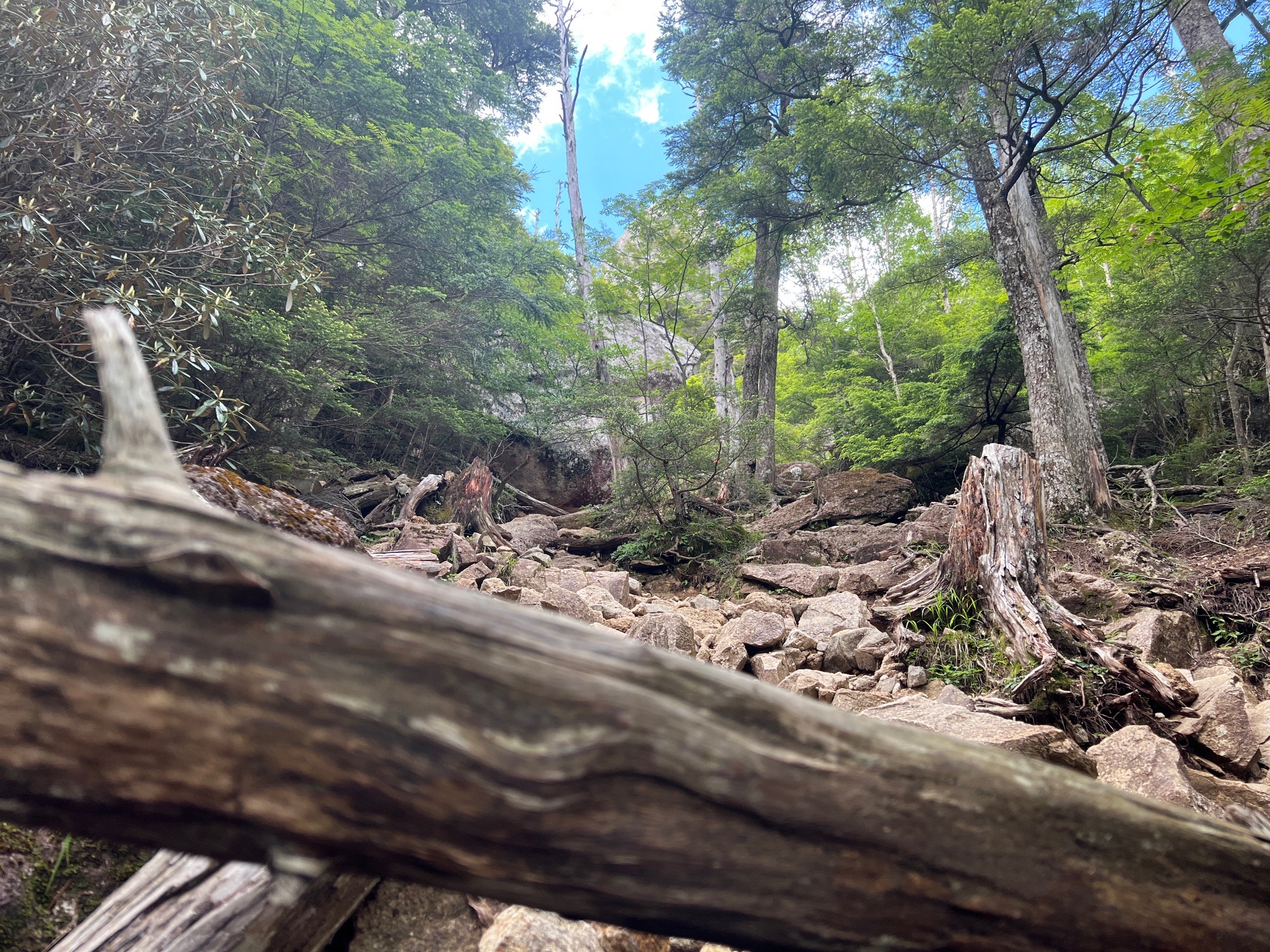 まだ、まだ、手足、駆使して登り切る