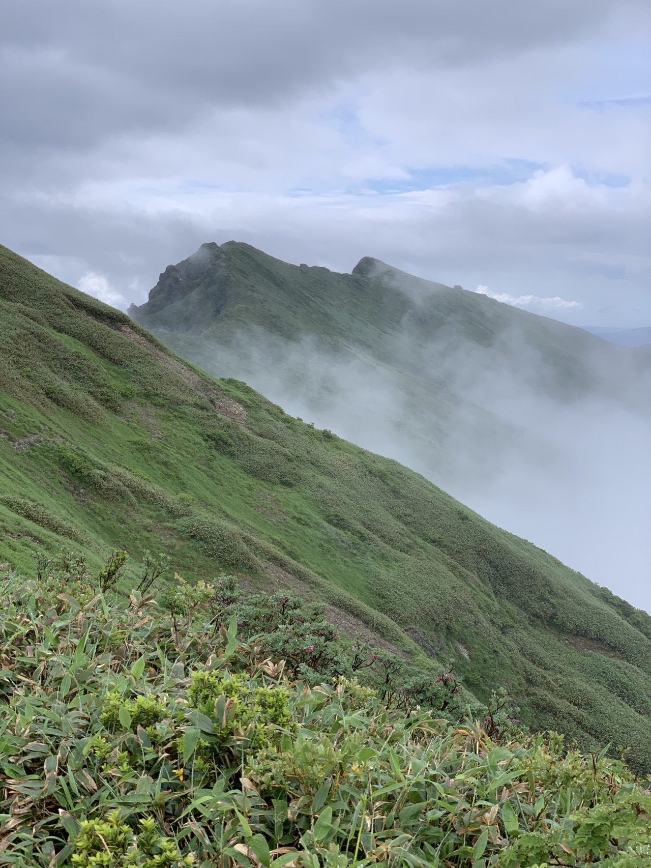 谷川岳 茂倉岳縦走 西黒尾根から ツバキさんの谷川岳 七ツ小屋山 大源太山の活動データ Yamap ヤマップ