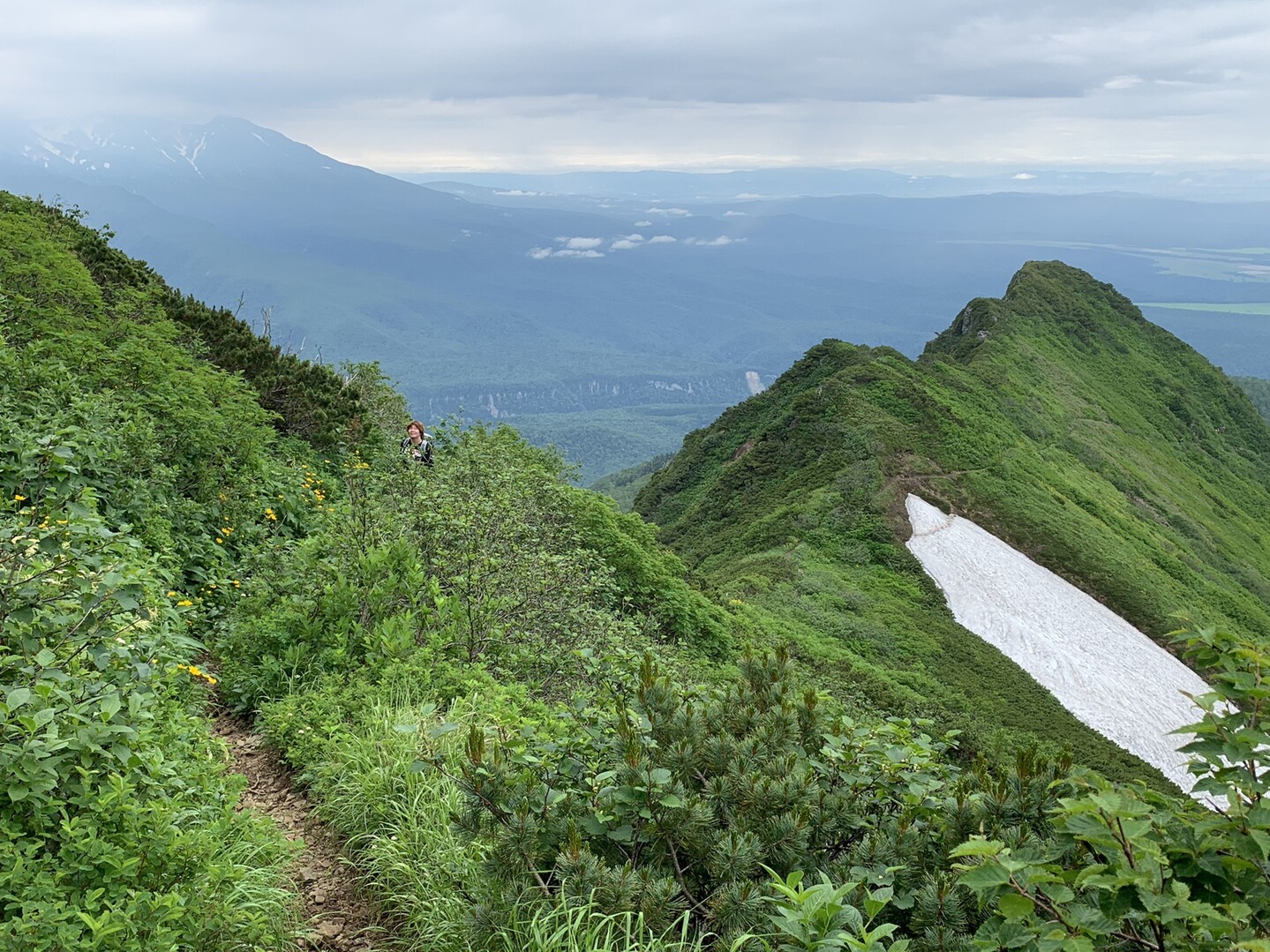 ニセイカウシュッペ山 / みたちゃんさんのニセイカウシュッペ山・平山・朝陽山の活動データ YAMAP / ヤマップ