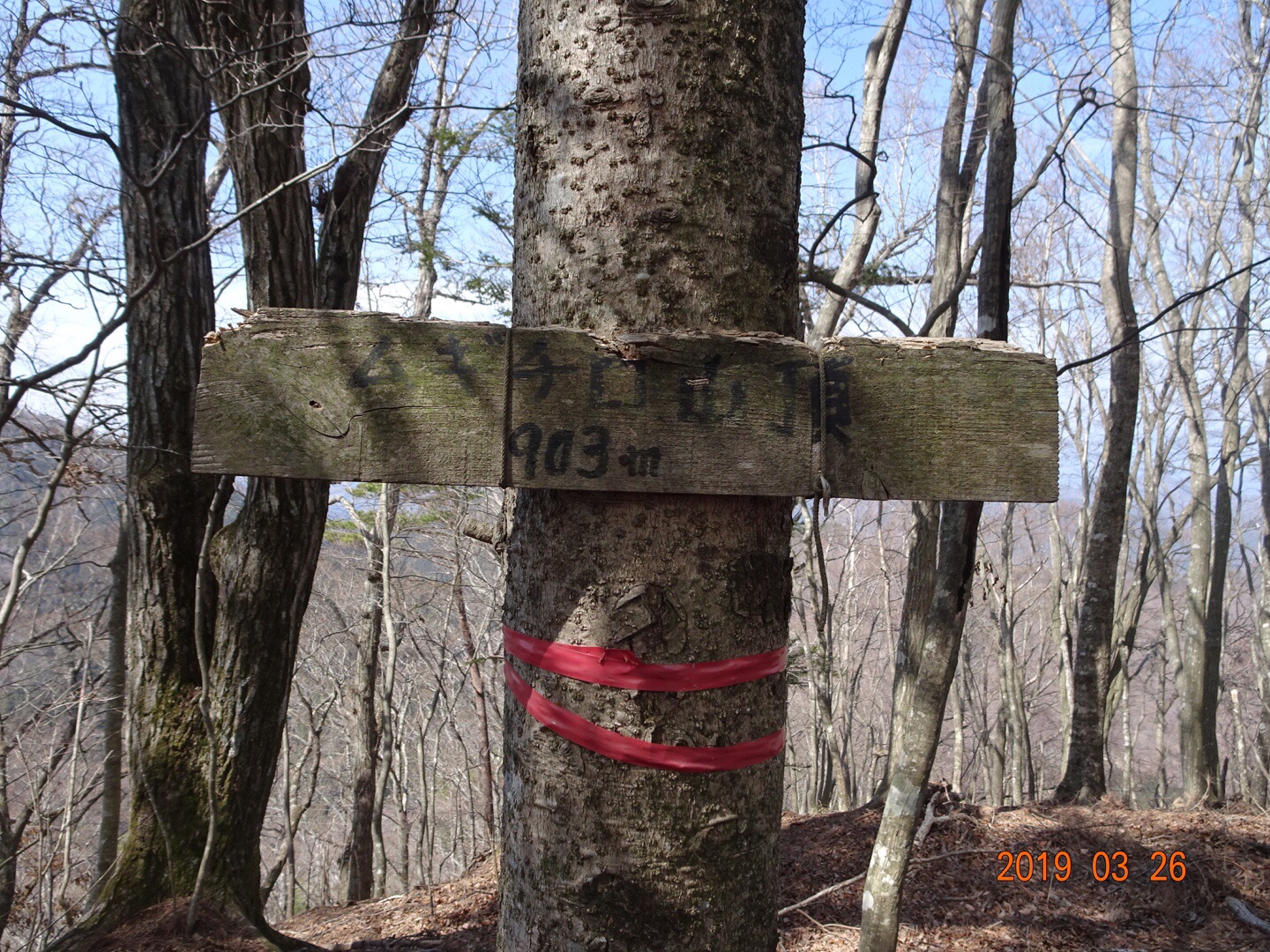 鳥井立北尾根 厳道峠 ムギチロ 平野峠 入道丸 綱子峠 サコbaさんの倉岳山 高畑山 九鬼山の活動日記 Yamap ヤマップ