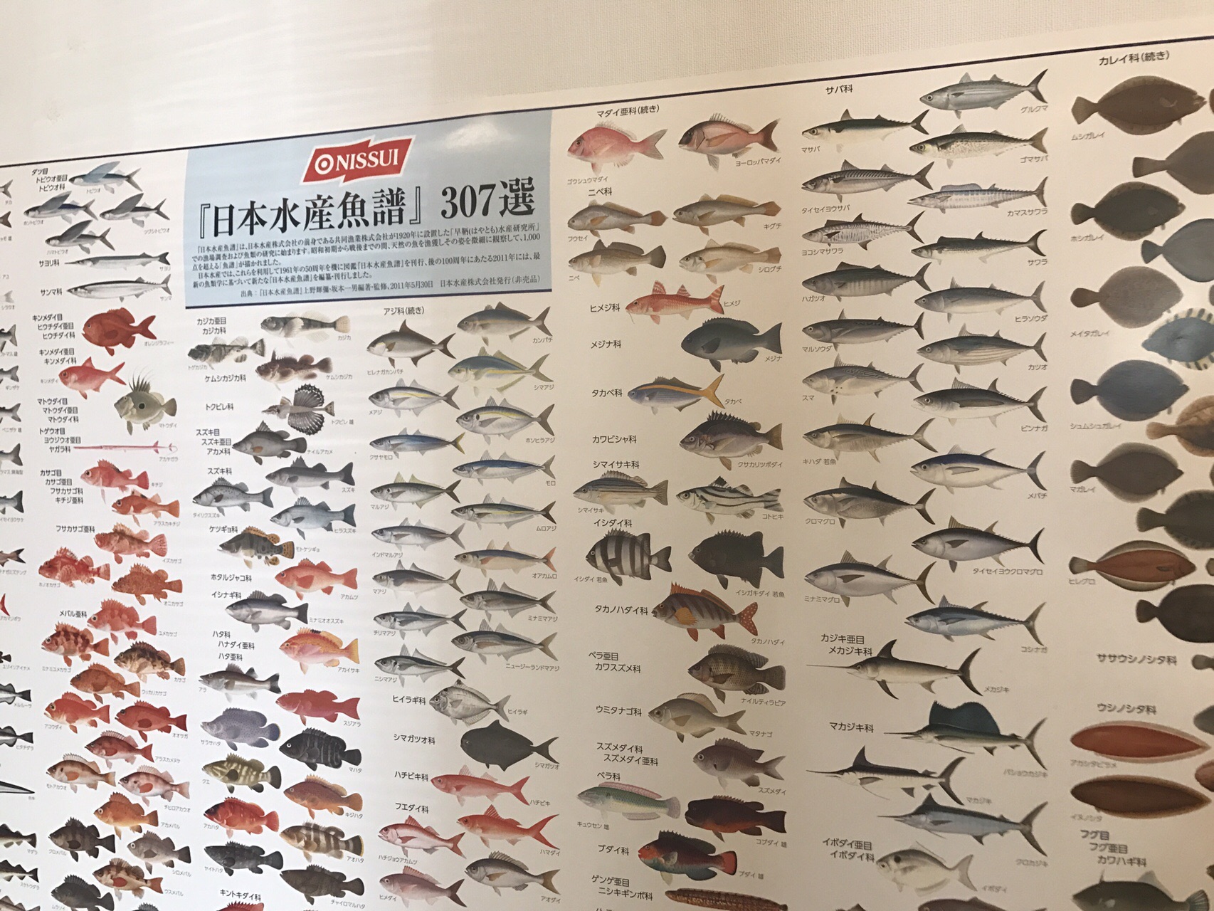 NISSUI 魚譜80選シール