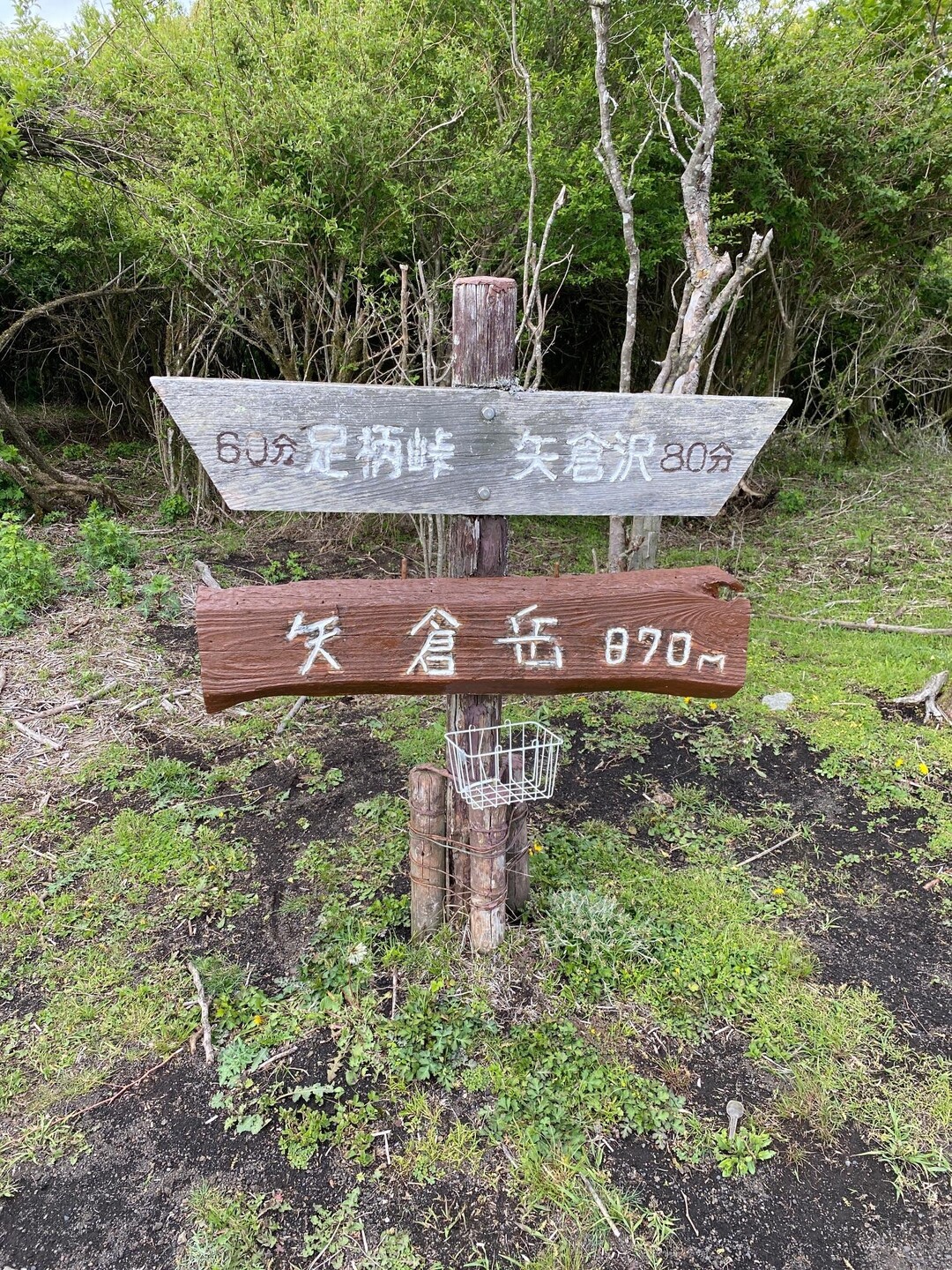 矢倉岳　2023-5-1