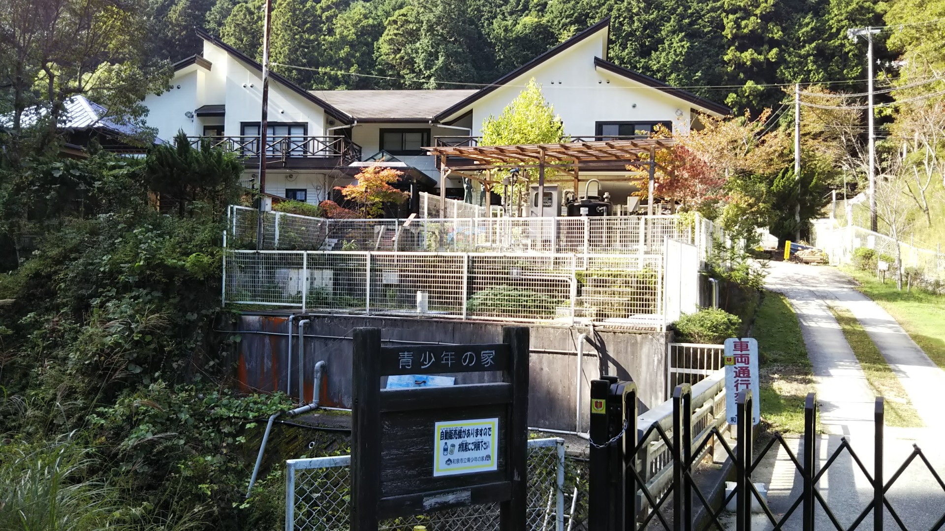 八ヶ丸山から槇尾山 縦走 / やまおさんの槇尾山（槙尾山）・和泉葛城山 