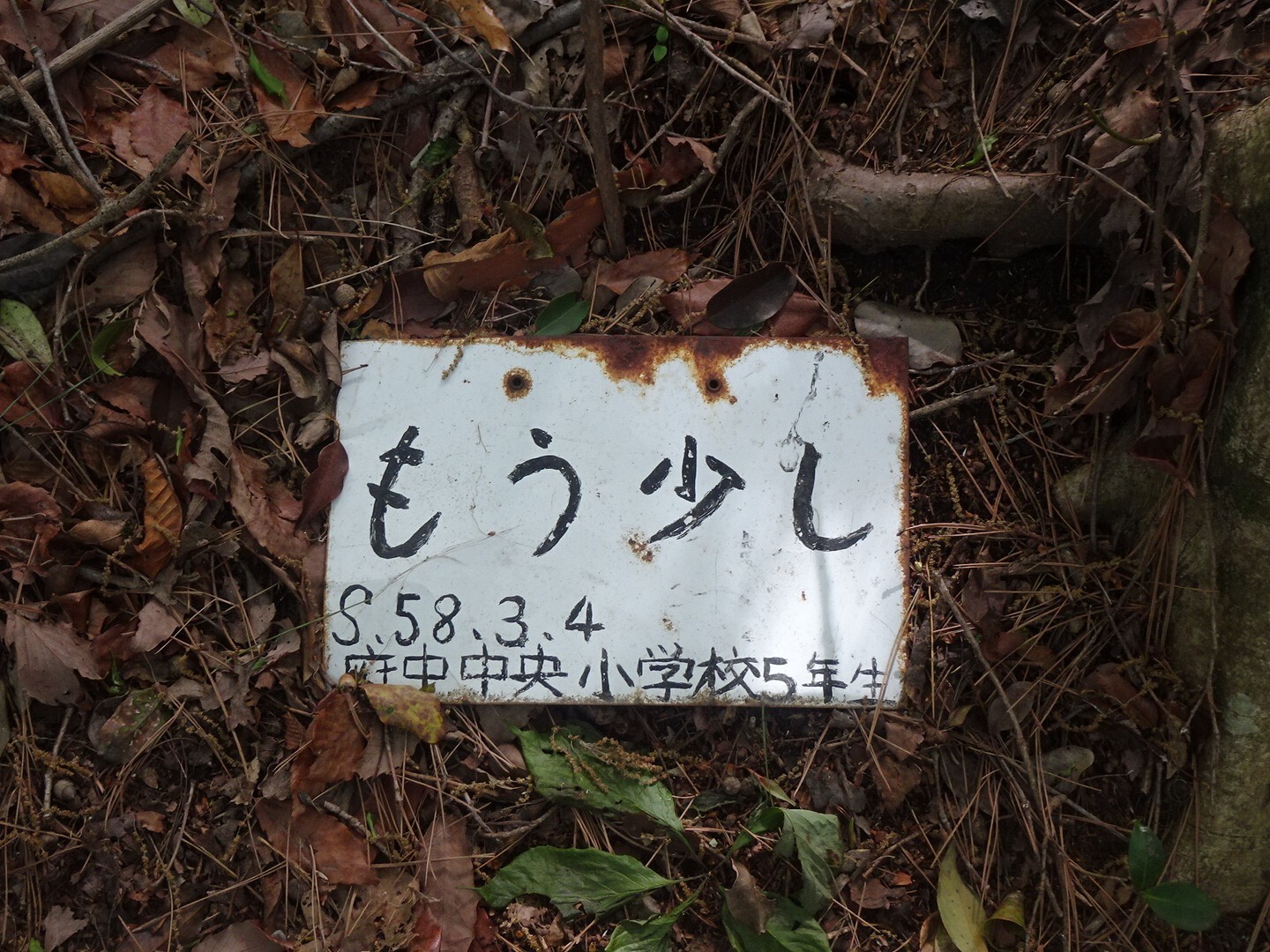 呉娑々宇山 高尾山 ひよこライダーさんの窓ヶ山 向山の活動日記 Yamap ヤマップ