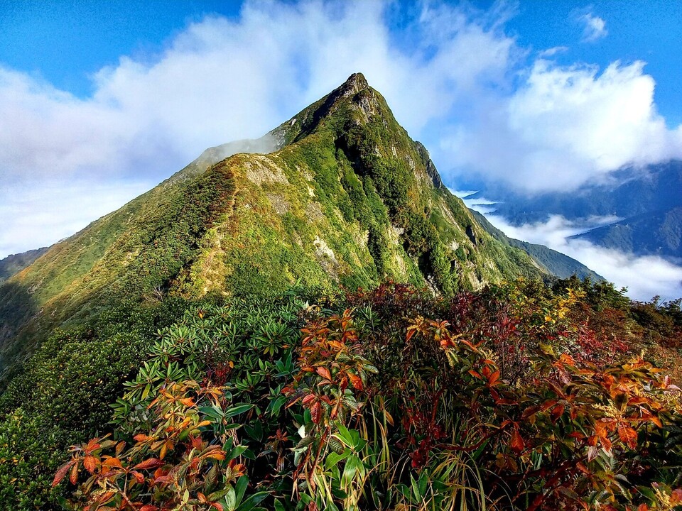 大源太山（新潟県）の最新登山情報 / 人気の登山ルート、写真、天気など YAMAP / ヤマップ