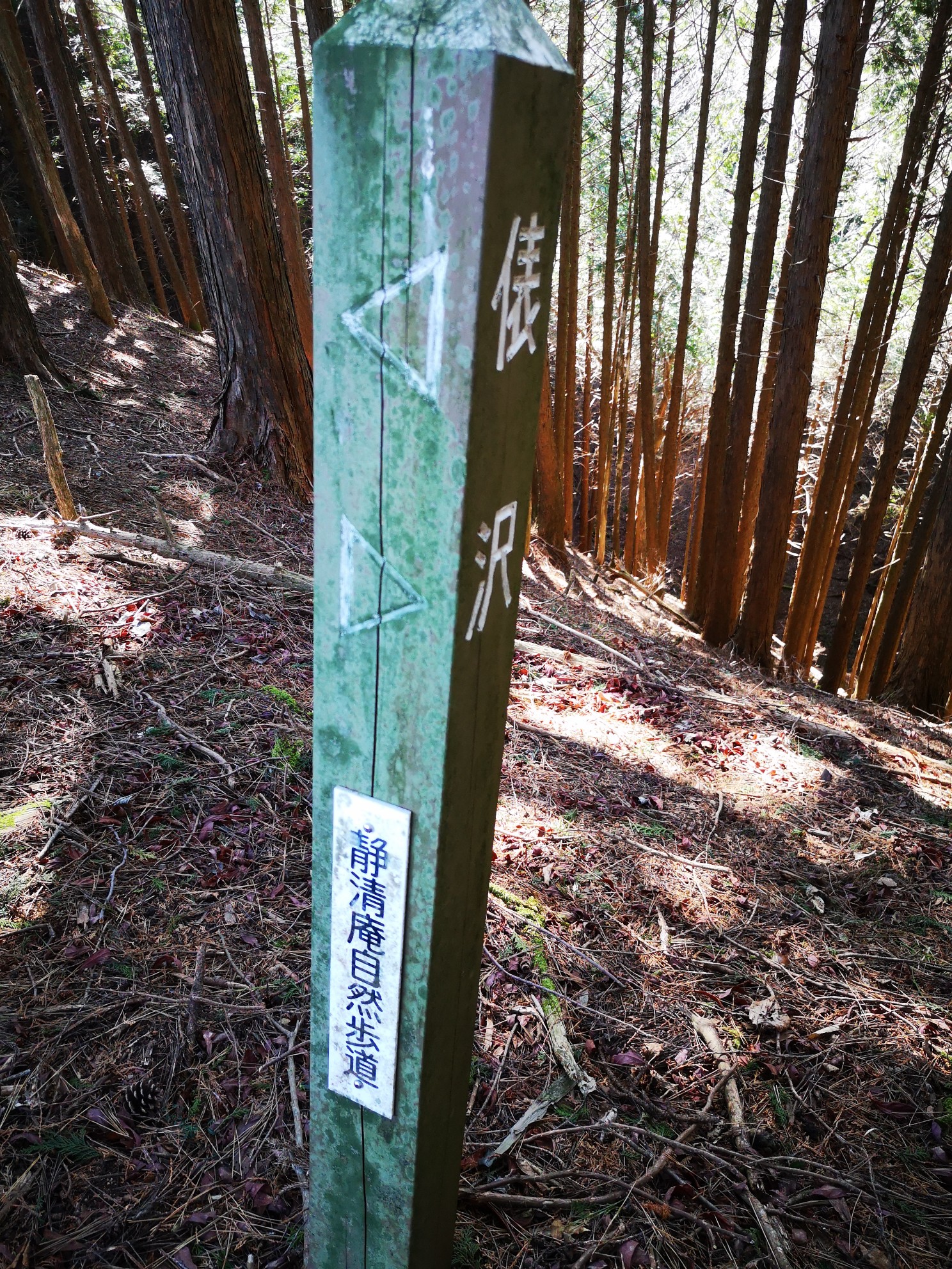 西側 牛妻 から竜爪山 事件 2 Bardaisukeさんの竜爪山 薬師岳の活動日記 Yamap ヤマップ