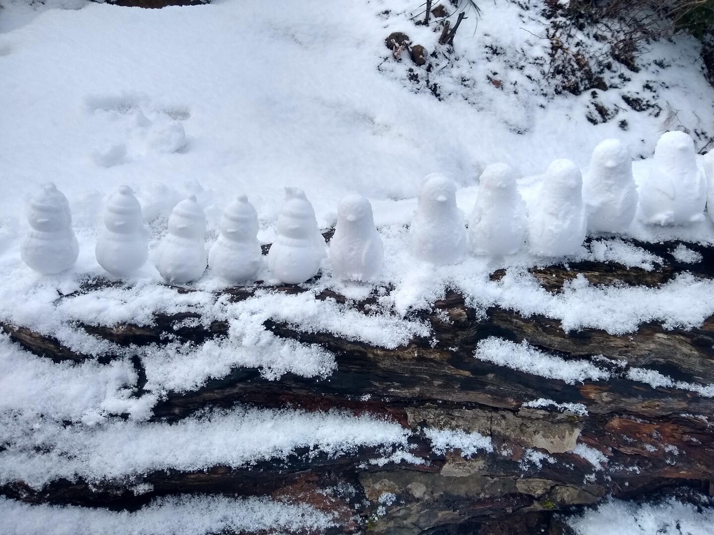 文殊山63 雪だるま祭り でもスパイク落とした!の写真