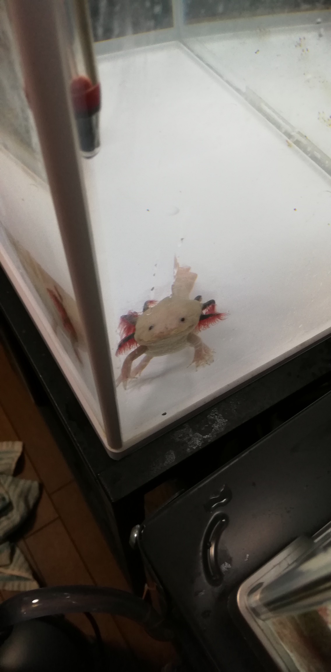 2 28 自宅にて まさやんさんの観光の活動日記 Yamap ヤマップ