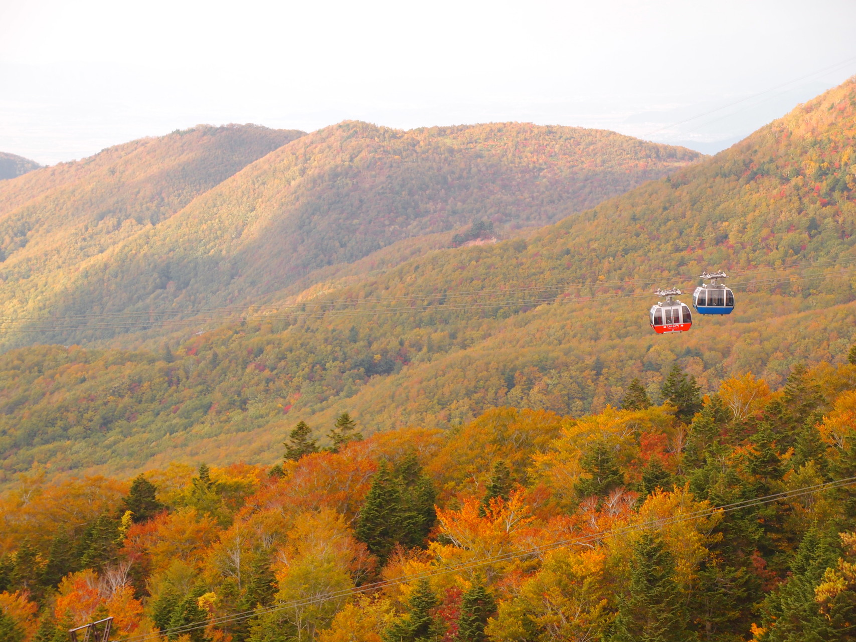 蔵王山 鳥兜駅 ドッコ沼 熊野岳 樹氷高原駅 ロープウェイ上部の紅葉始まる Mimosaさんの蔵王山 雁戸山 不忘山の活動日記 Yamap ヤマップ