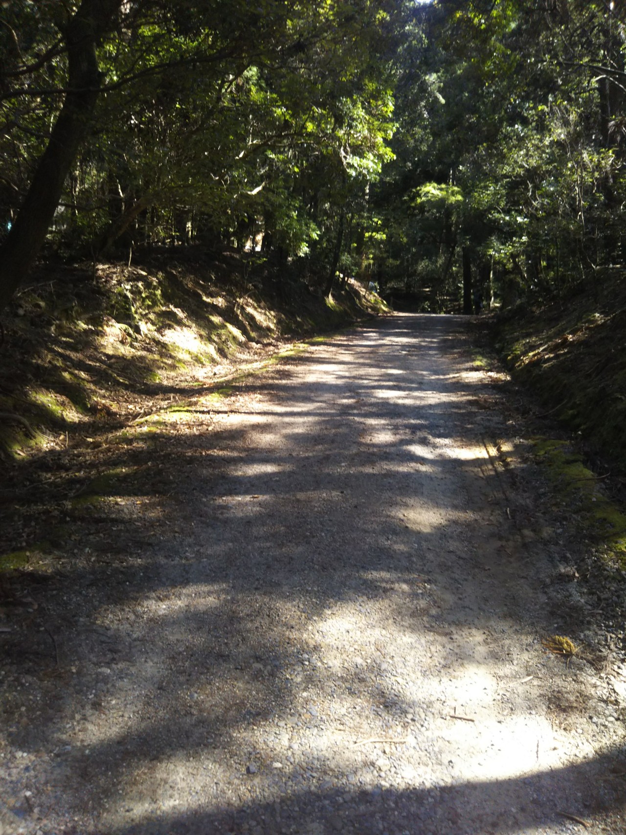 勇気ある 撤退奈良大文字山 高円山 ツヨポンさんの奈良市 東部の活動データ Yamap ヤマップ