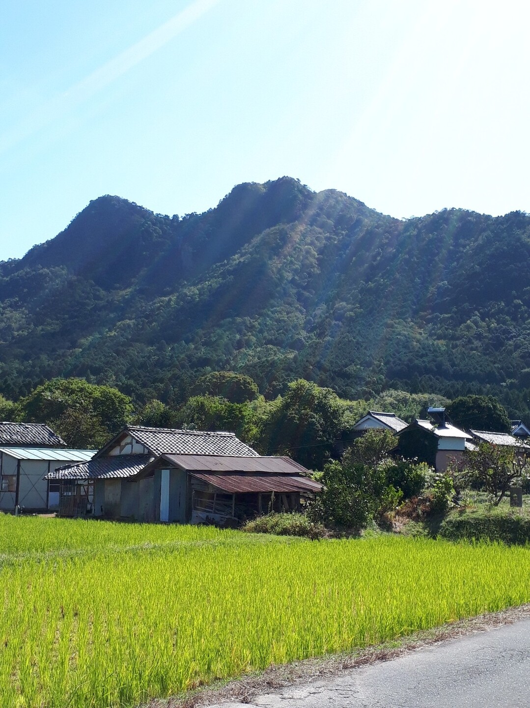 兵庫県丹波市 三尾山 再チャレンジ さかちゃんさんの向山 丹波市 清水山の活動日記 Yamap ヤマップ