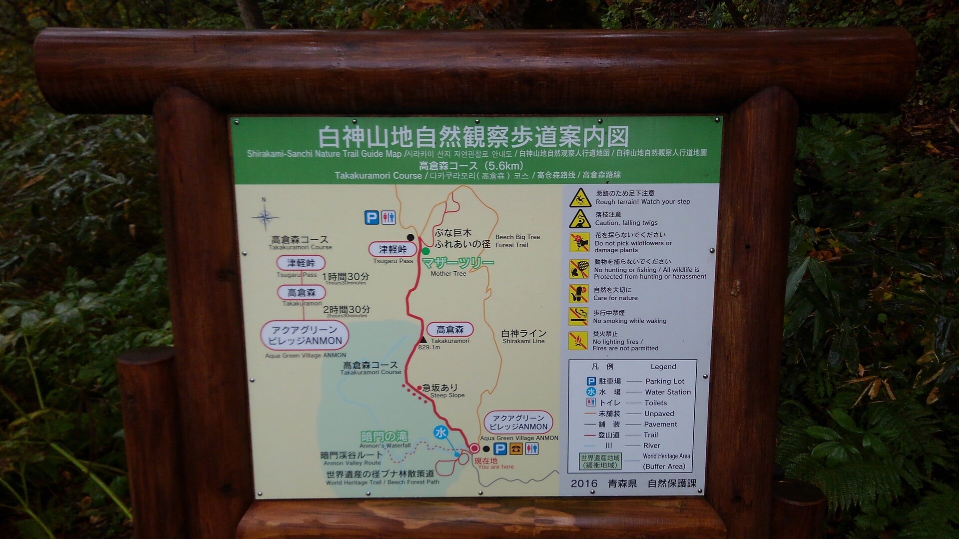 みちのくバイク旅 無念 白神山地マザーツリーは見れず かめきちさんの高倉森の活動データ Yamap ヤマップ