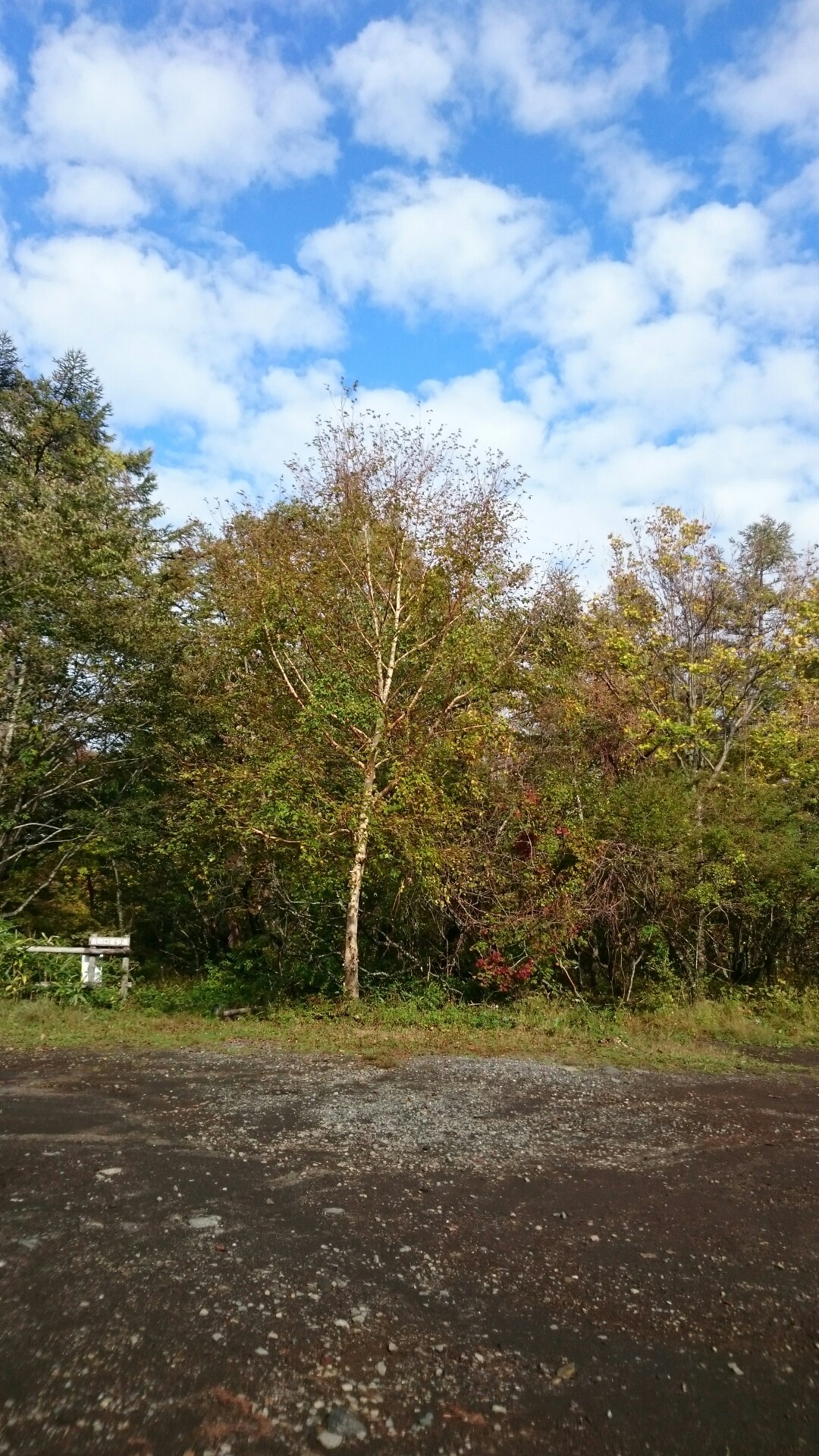 馬返しから富士山五合目 よーさんの富士山の活動データ Yamap ヤマップ
