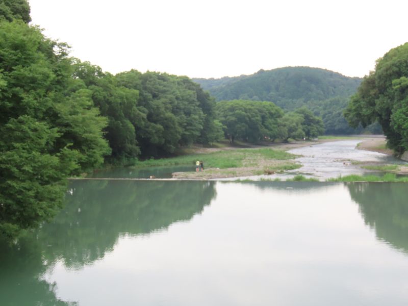 巾着田散策 曼珠沙華公園立ち入り禁止解除を確認に マイクさんの天覧山 多峯主山 天覚山の活動日記 Yamap ヤマップ