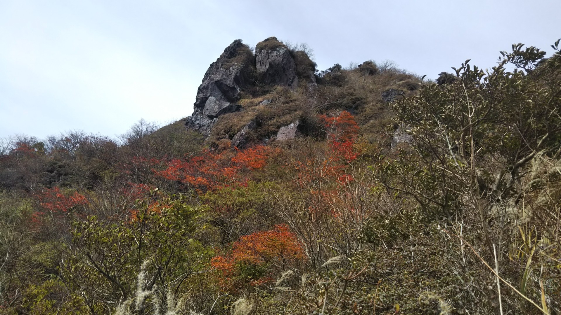 紅葉の由布岳登山 いーさんさんの由布岳 鶴見岳の活動データ Yamap ヤマップ