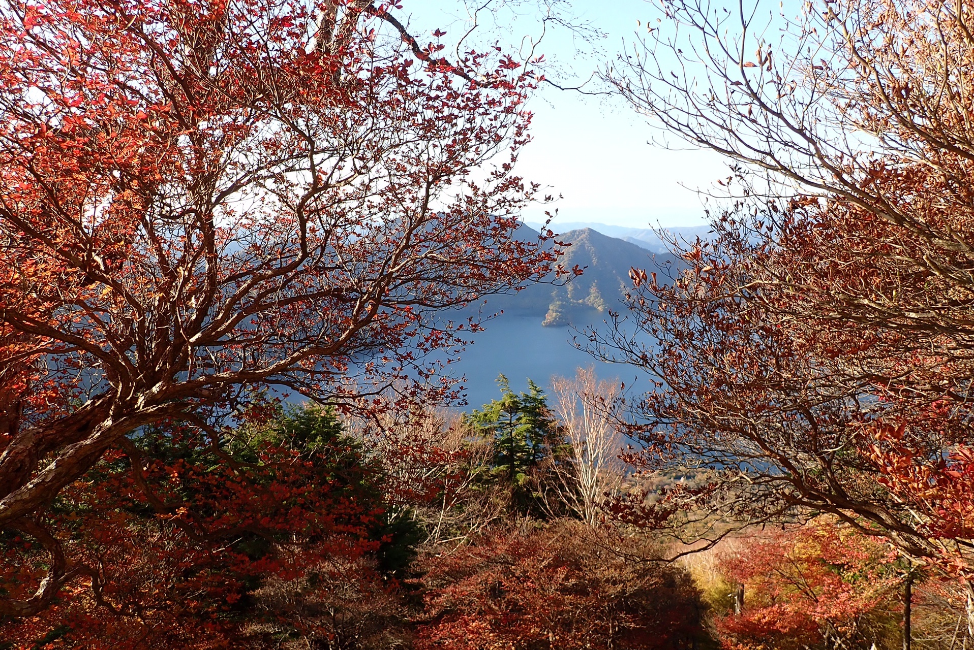 日光男体山 紅葉真っ盛りの奥日光 ヶ岳さんの男体山の活動データ Yamap ヤマップ