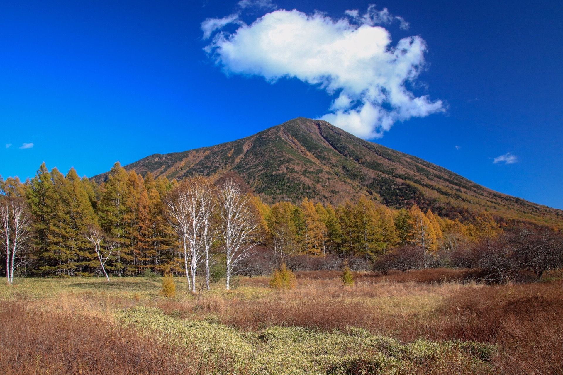 日光男体山 紅葉真っ盛りの奥日光 ヶ岳さんの男体山の活動データ Yamap ヤマップ