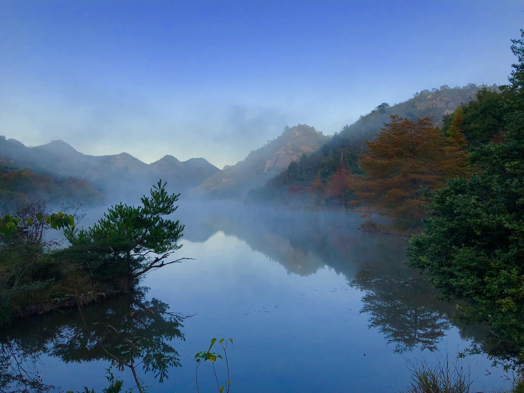 みじかな里山もなかなかいいもんです まーすけさんの加西アルプス 笠松山 善防山の活動データ Yamap ヤマップ