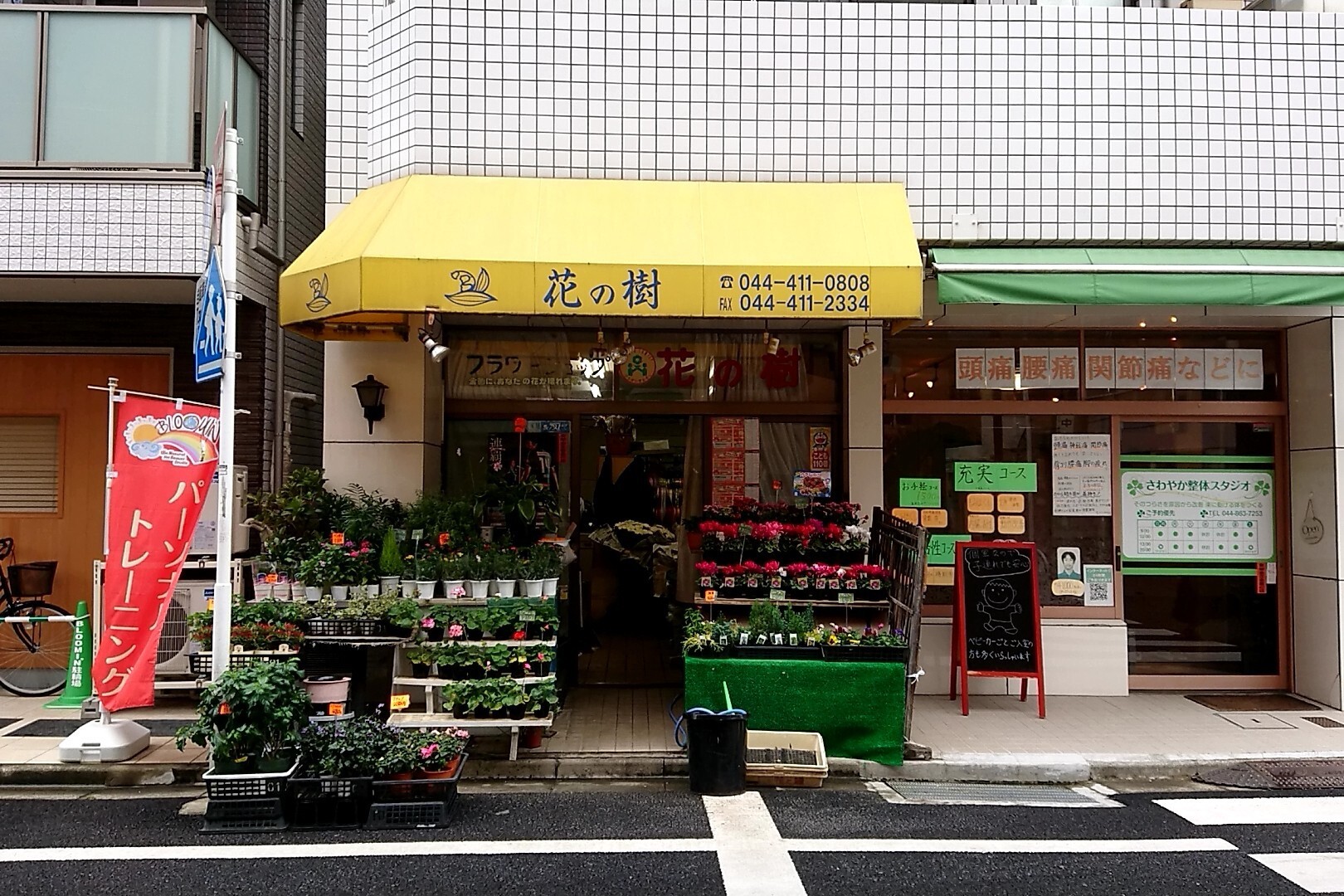 新丸子 しんまるこ 青春探訪 コックンさんの横浜市 北エリアの活動日記 Yamap ヤマップ